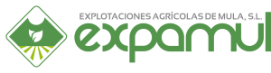 logo-expamul